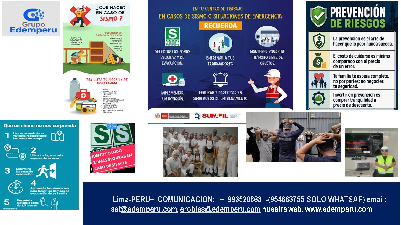 SERVICIOS DE BRIGADAS DE SISMOS